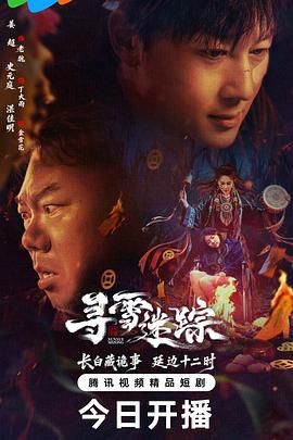 寻雪迷踪电视剧